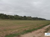 Vaizdingoje vietoje, šalia Nemuno, Gineitų k. - nuotraukos Nr. 12
