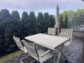 Speciali kaina Rugpjūčio mėnesį ! - nuotraukos Nr. 2