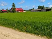 Žemės sklypas ramioje vienkiemio tipo vietoje - nuotraukos Nr. 3