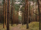Parduodami pilnai įrengti apartamentai - nuotraukos Nr. 18