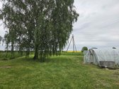Sodyba su 1 ha žemės sklypu ir ūkiniais pastatais. - nuotraukos Nr. 15