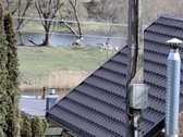 Parduodame prižiūrėtą sodą su vaismedžiais ir - nuotraukos Nr. 4