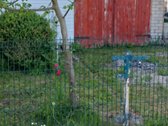 Parduodamas sodo sklypas su 2-jų aukštų namu. - nuotraukos Nr. 6