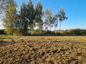 Parduodamas 25a namų valdos sklypas