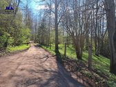 Parduodamas sklypas šalia Nemenčinės - nuotraukos Nr. 7