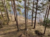 Sklypas prie ežero Molėtuose su nuosavu mišku! - nuotraukos Nr. 5