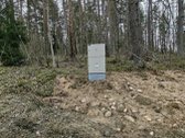 Sklypas prie ežero Molėtuose su nuosavu mišku! - nuotraukos Nr. 13