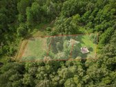 Parduodami trys gretimi sklypai sodų - nuotraukos Nr. 5