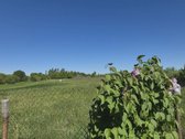 Ieškote ramios vietos savo svajonių namams? - nuotraukos Nr. 18