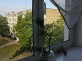Parduodamas šviesus ir racionaliai - nuotraukos Nr. 7