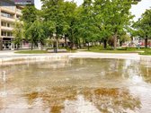 Pačioje Panevėžio Miesto Širdyje - Laisvės - nuotraukos Nr. 12