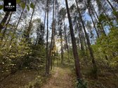 Parduodamas Sklypas Prie Meduvio Ež., Puiki - nuotraukos Nr. 7