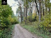 Parduodamas Sklypas Prie Meduvio Ež., Puiki - nuotraukos Nr. 12