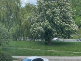 Parduodama: 2 kambarių butas, M. Riomerio g., - nuotraukos Nr. 11