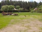 Parduodamas dvigubas 13.24 a sodo sklypas - nuotraukos Nr. 2