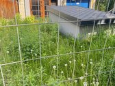 4,40 a sklypas su nustatyta naudojimosi - nuotraukos Nr. 5