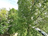 Šviesus ir jaukus 2 kambarių butas Šiaulių - nuotraukos Nr. 13