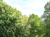 Šviesus ir jaukus 2 kambarių butas Šiaulių - nuotraukos Nr. 12