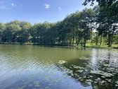Druskininkų savivaldybėje, labai gražioje - nuotraukos Nr. 2