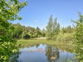 Sodyba 8,5 ha sklype šalia vandens telkinio - nuotraukos Nr. 33