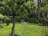 Išpuoselėta jauki ir rami vieta, aptverta - nuotraukos Nr. 29