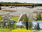 Balsiuose, Parduodamas puikiai išlaikytas 4 - nuotraukos Nr. 47