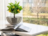 Šviesūs ir erdvūs namai Žaliajame Slėnyje – - nuotraukos Nr. 7