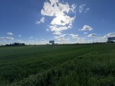 Parduodamas perspektyvus žemės sklypas šalia - nuotraukos Nr. 9
