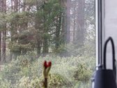 Parduodamas jaukus 3 kambarių butas Palangoje - nuotraukos Nr. 40
