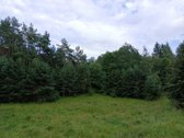 Parduodamas 3,3 ha sklypas - žemės ūkio dalis - nuotraukos Nr. 4