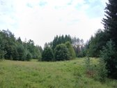 Parduodamas 3,3 ha sklypas - žemės ūkio dalis - nuotraukos Nr. 5