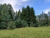 Parduodamas 3,3 ha sklypas - žemės ūkio dalis - nuotraukos Nr. 3