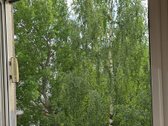 Parduodamas 2 Kambarių Butas Šeškinėje – - nuotraukos Nr. 4