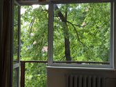 Butą parduodu pats (ne per agentūras), todėl - nuotraukos Nr. 7