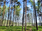 Labonoro Regioniniame Parke, Ispūdingo Gamtos - nuotraukos Nr. 4