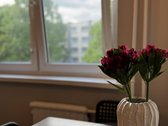 Parduodamas 3 Kambarių Butas Mažeikiuose – 62 - nuotraukos Nr. 13