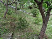 Parduodamas tvarkingas namas Klaipėdoje su - nuotraukos Nr. 14