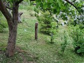 Parduodamas tvarkingas namas Klaipėdoje su - nuotraukos Nr. 15