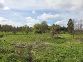 Parduodama Namo Dalis Su 18,49 Aro Žemės - nuotraukos Nr. 5