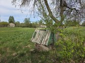Sodyba Su 3,2 Ha Sklypu Ir Tvenkiniu Molėtų - nuotraukos Nr. 11
