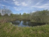 Sodyba Su 3,2 Ha Sklypu Ir Tvenkiniu Molėtų - nuotraukos Nr. 12