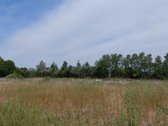 Parduodama 2,13 ha pramonės ir sandėliavimo - nuotraukos Nr. 5