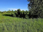 ? Parduodamas 67,29 A Sklypas Stragnų II K. – - nuotraukos Nr. 2