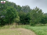 Parduodamas labai pigiai geroje vietoje 5,5 a - nuotraukos Nr. 11