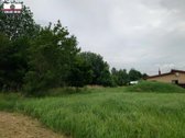 Parduodamas labai pigiai geroje vietoje 5,5 a - nuotraukos Nr. 12