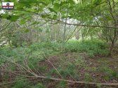 Parduodamas labai pigiai geroje vietoje 5,5 a - nuotraukos Nr. 19