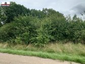 Parduodamas labai pigiai geroje vietoje 5,5 a - nuotraukos Nr. 21