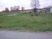 Šiaulių r. sav., Kairių mstl. - nuotraukos Nr. 4