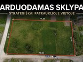 Nt agentūra "Du Procentai" 2% siūlo!