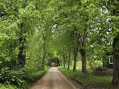 Poilsiui, gyvenimui. Keliolika minučių nuo - nuotraukos Nr. 12